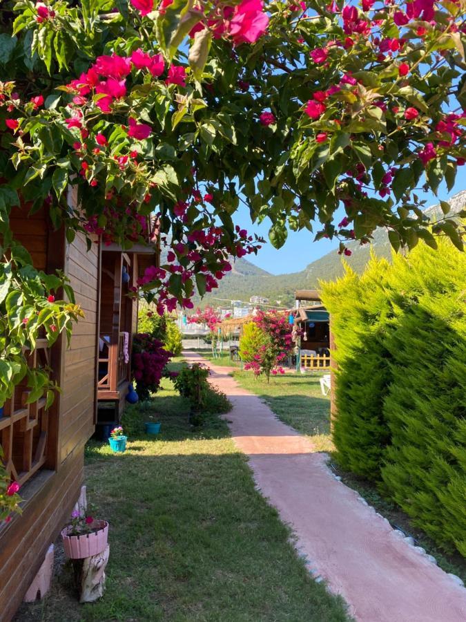 Karaoez Ada Bungalows & Villa מראה חיצוני תמונה