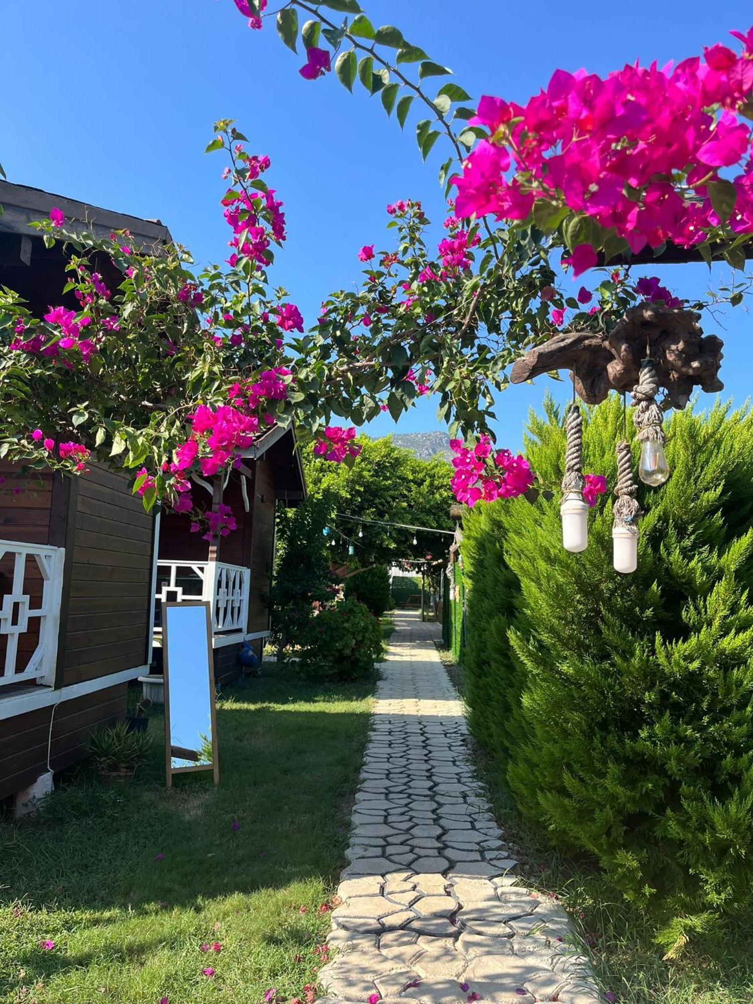 Karaoez Ada Bungalows & Villa מראה חיצוני תמונה